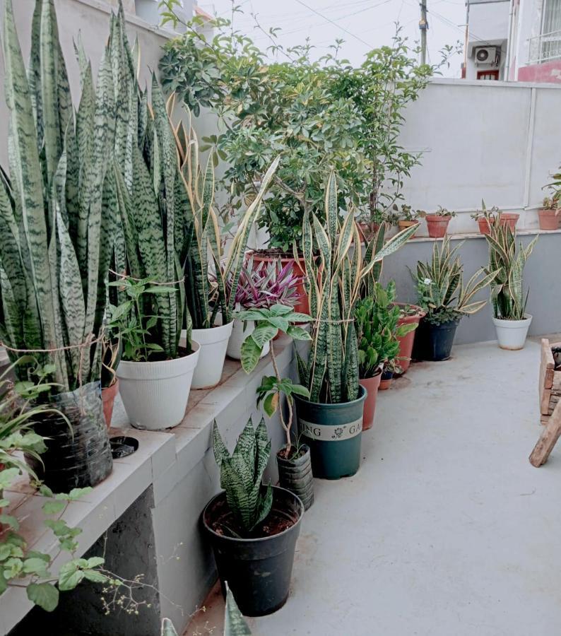 Negusta Arte E Atividades Albergue Praia Exterior foto